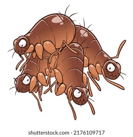 Group of cartoon fleas on the white background. Cartoon flea series.