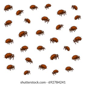 Group of cartoon vector fleas. Cartoon pest series.
