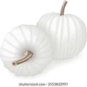 Group of Casper pumpkin or Lumina Pumpkin. Winter squash. Cucurbita maxima. Fruits and vegetables. Isolated vector illustration.