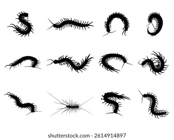 Group of Centipede Silhouette isolated white background. Vector Illustration