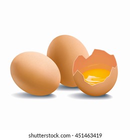 Group of chicken brown eggs isolated on white background. Cracked eggshell with raw yolk vector illustration