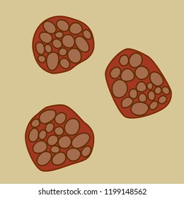 Group of Chlamydiales bacterias on light background, vector illustration