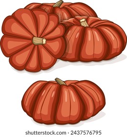 Group of Cinderella pumpkin. Rouge Vif D Etampes. Winter squash. Cucurbita maxima. Fruits and vegetables. Clipart. Isolated vector illustration.