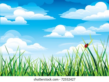 Group clouds on blue sky and green grass with red ladybug