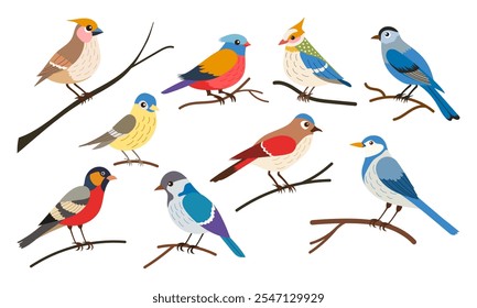 A group of colorful birds are perched on a branch. The birds are of various sizes and colors, including blue, red, yellow, and green. The scene is peaceful and serene