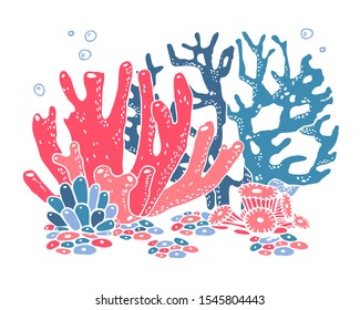 Group of colorful corals. Color vector hand drawn illustration on white background
