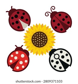 A group of colorful ladybugs fly around a big cheerful sunflower on a plain white background