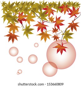 a group of colorful leafs with red bubbles in a white background