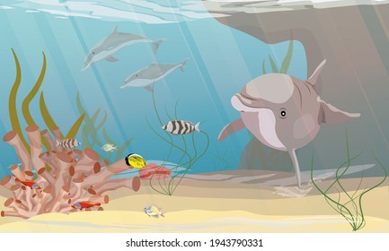 A group of Common bottlenose dolphin Tursiops truncatusswim in warm sea water with green algae, corals, tropical fish and other sea creatures. Coastal bottom. Realistic vector underwater landscape