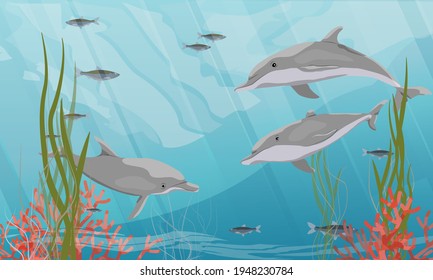 A group of Common bottlenose dolphin Tursiops truncatusswim in water with green algae, red corals and silvery fish. Realistic vector underwater landscape