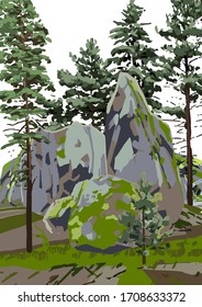 Group of coniferous trees among the rocks, covered with moss. Vector natural illustration