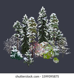 Group of coniferous trees, bushes and rocks covered with white snow. Winter design. Vector natural illustration isolated on dark background