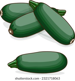 Group of Cousa or Kousa squash or Magda squash. Summer squash. Cucurbita moschata. Fruits and vegetables. Clipart. Vector illustration isolated on white background.