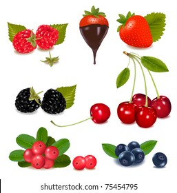 Group of cranberries, blueberries, cherries, raspberries wild strawberries with plant leaves. Photo-realistic vector illustration.