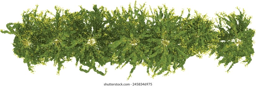 Group of creeper plants, isolated on white background. 3D render.Top view