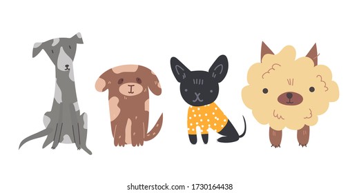 Group of cute and adorable little fluffy dogs and puppies sit on the ground and waiting for adoption by loving owner. Vector cartoon colorful isolated flat illustration on white background