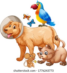 Group of cute animals cartoon character isolated illustration