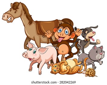 Group of cute animals on white background