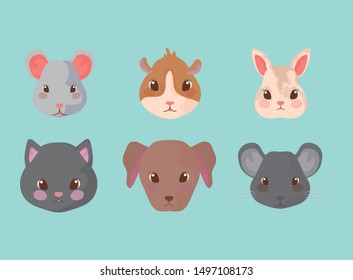 group of cute baby animals