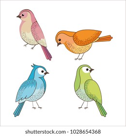 group of cute birds drawn