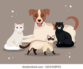 group of cute cats with dog vector illustration design