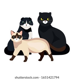 group of cute cats isolated icons vector illustration design