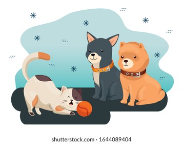 group of cute dogs and cat with ball toy vector illustration design