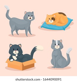 group of cute little cats vector illustration design