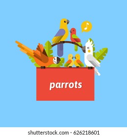 Group of cute parrots. Vector flat illustration.