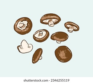 A group of dark brown mushrooms in ingredients illustration