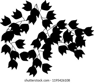 group of dark leaf isolated on white background 