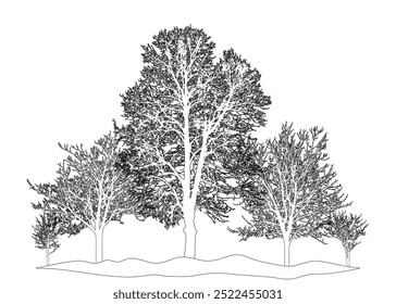 Group of deciduous bare trees standing on hilltop, outline. Vector illustration