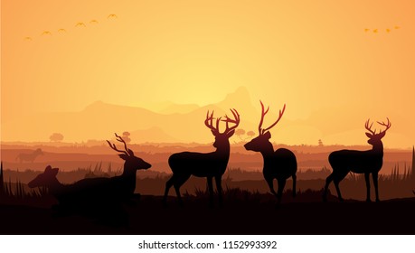 Group of Deer silhouette