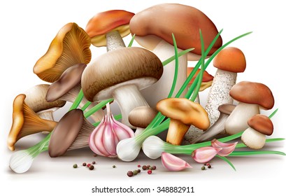 Group of different edible mushrooms with garlic pepper onion