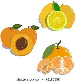 group of different fruit, vector flat