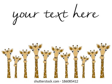 Group of different sizes cute giraffes peeking.you can see only the head and neck. cartoon drawing graphic design, vector art image illustration. isolated on white background, your text here wallpaper