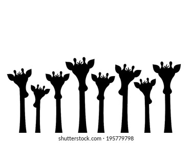 Group of different sizes cute giraffes peeking. you can see only the head and neck of giraffe. cartoon drawing graphic design, vector art illustration. black silhouette isolated on white background, 