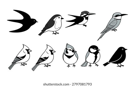 Group of different small birds. Features silhouette and outline styles, with subtle gray and black colors. Elegant.