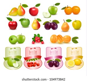 Group with different sorts of fruit and labels. Vector.