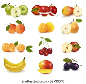 Group with different sorts of fruit. Vector.