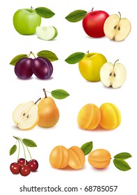 Group with different sorts of fruit. Vector illustration.