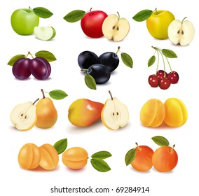 Group with different sorts of fruit. Vector.