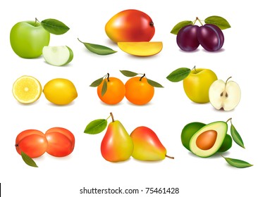 Group with different sorts of fruit. Vector.