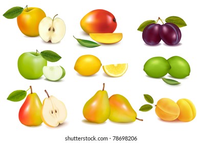 Group with different sorts of fruit. Vector.