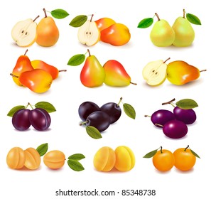 Group with different sorts of fruit. Vector.