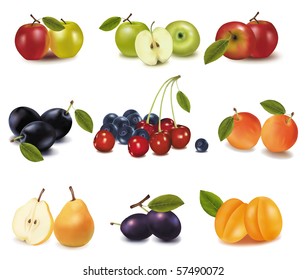 Group of different tasty ripe fruit. Vector.