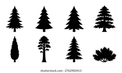 Group of different trees and plants including pine, fir, cypress, and redwood. Nature and forest elements.