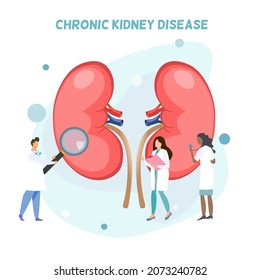 Group of doctors doing activities around human kidneys, diagnosis o about kidney disease, chronic kidney disease, long term illness, a lady doctor using stethoscope, a doctor holding magnifying glass