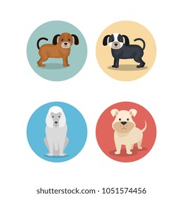 group of dog breeds