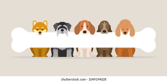 Group of Dog Breeds Holding Bone, Front View, Pet, Background, Banner 